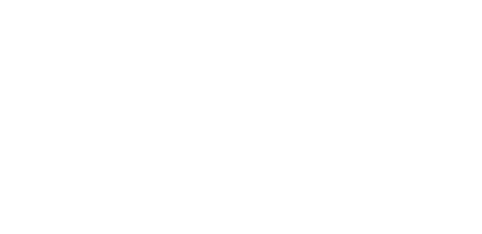 Boundary Electric